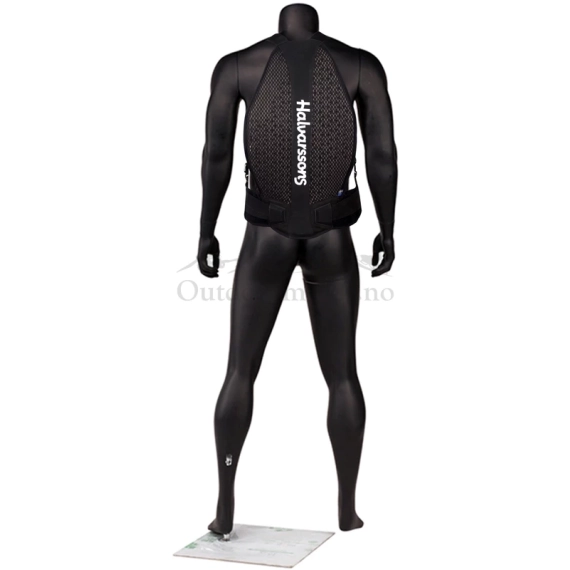 Halvarssons Ryggskinne