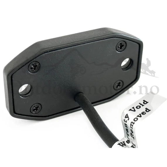 Briodlights Ryggelys