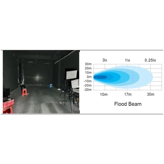 Briodlights Ryggelys